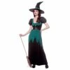 Womens Emerald Witch Costume Sequin Green Black Dress Hat Belt -Snazaroo Sales HF 5149 1a opt