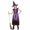 Girls Deluxe Enchanting Witch Costume Black Purple Dress Hat -Snazaroo Sales HG 6067 1 opt