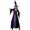 Spellbound Horror Witch Womens Purple Costume Halloween -Snazaroo Sales WKDHF 5048 1600 1 80195.1496940422.1100.1100